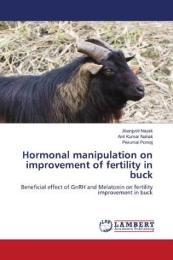 Hormonal manipulation on improvement of fertility in buck