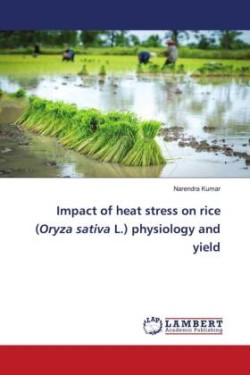 Impact of heat stress on rice (Oryza sativa L.) physiology and yield