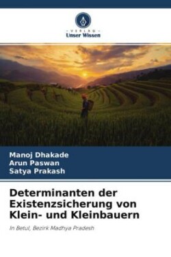 Determinanten der Existenzsicherung von Klein- und Kleinbauern