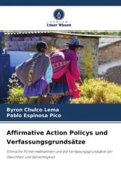 Affirmative Action Policys und Verfassungsgrundsätze