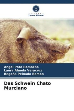 Das Schwein Chato Murciano