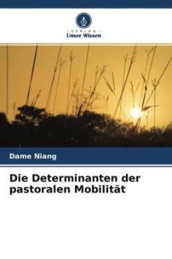 Die Determinanten der pastoralen Mobilität