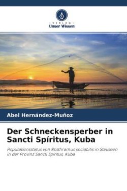 Der Schneckensperber in Sancti Spíritus, Kuba