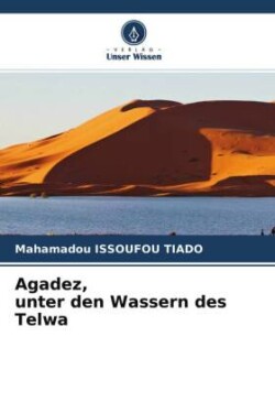 Agadez, unter den Wassern des Telwa