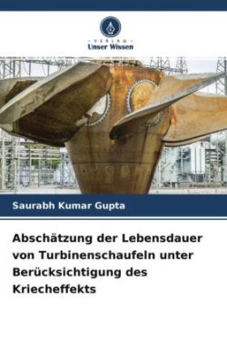 Abschätzung der Lebensdauer von Turbinenschaufeln unter Berücksichtigung des Kriecheffekts