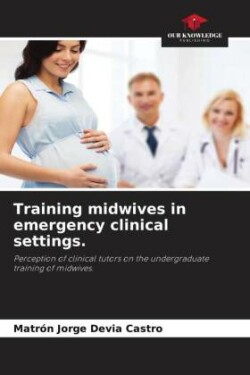 Training midwives in emergency clinical settings.