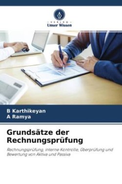 Grundsätze der Rechnungsprüfung