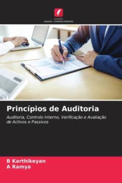 Princípios de Auditoria