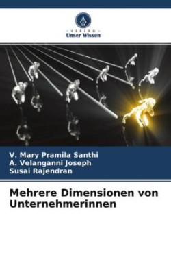 Mehrere Dimensionen von Unternehmerinnen