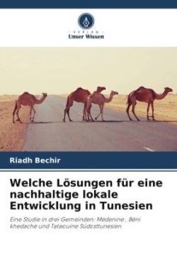 Welche Lösungen für eine nachhaltige lokale Entwicklung in Tunesien