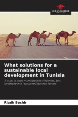 What solutions for a sustainable local development in Tunisia