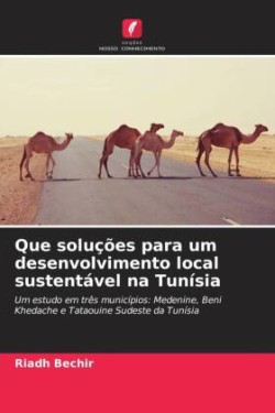 Que soluções para um desenvolvimento local sustentável na Tunísia