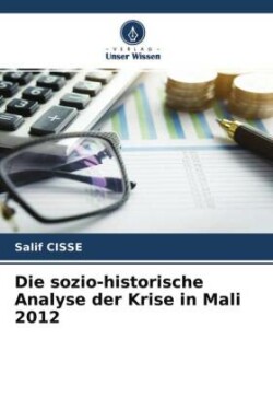 Die sozio-historische Analyse der Krise in Mali 2012