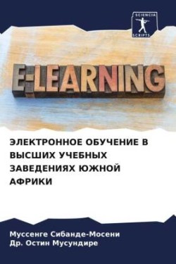 JeLEKTRONNOE OBUChENIE V VYSShIH UChEBNYH ZAVEDENIYaH JuZhNOJ AFRIKI