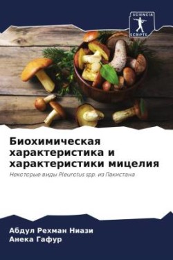 Biohimicheskaq harakteristika i harakteristiki miceliq
