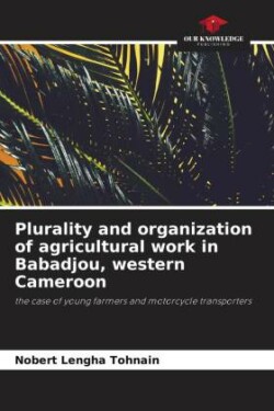 Plurality and organization of agricultural work in Babadjou, western Cameroon