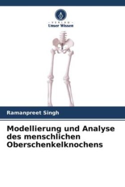 Modellierung und Analyse des menschlichen Oberschenkelknochens