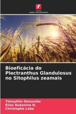 Bioeficácia do Plectranthus Glandulosus no Sitophilus zeamais