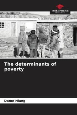 determinants of poverty