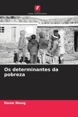 Os determinantes da pobreza