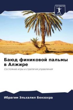 Баюд финиковой пальмы в Алжире