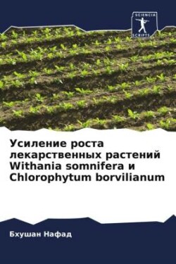 Usilenie rosta lekarstwennyh rastenij Withania somnifera i Chlorophytum borvilianum