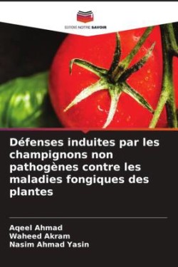 Défenses induites par les champignons non pathogènes contre les maladies fongiques des plantes