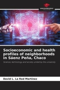 Socioeconomic and health profiles of neighborhoods in Sáenz Peña, Chaco