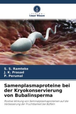 Samenplasmaproteine bei der Kryokonservierung von Bubalinsperma