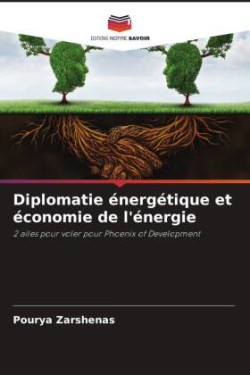 Diplomatie énergétique et économie de l'énergie