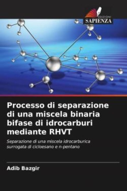 Processo di separazione di una miscela binaria bifase di idrocarburi mediante RHVT