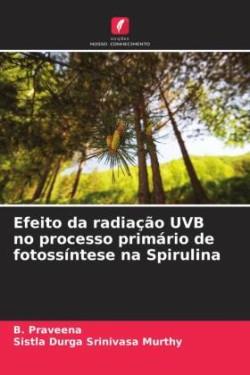 Efeito da radiação UVB no processo primário de fotossíntese na Spirulina