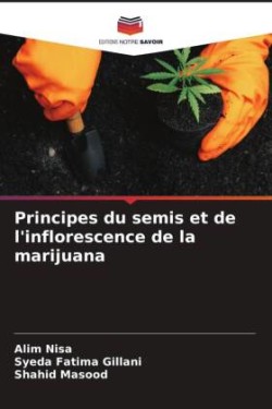 Principes du semis et de l'inflorescence de la marijuana