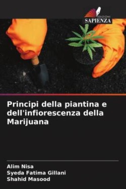 Principi della piantina e dell'infiorescenza della Marijuana