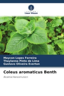 Coleus aromaticus Benth