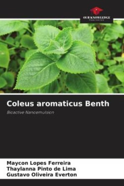 Coleus aromaticus Benth