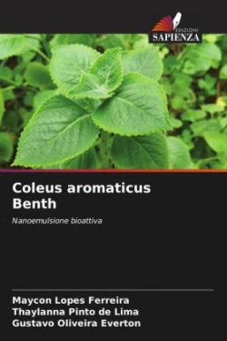 Coleus aromaticus Benth