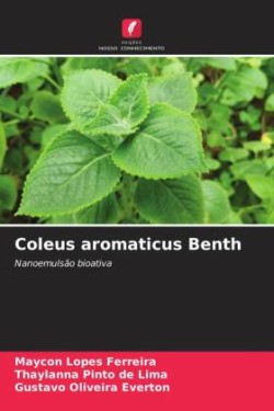 Coleus aromaticus Benth