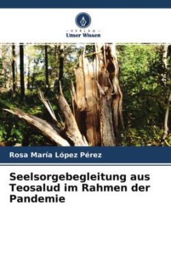 Seelsorgebegleitung aus Teosalud im Rahmen der Pandemie