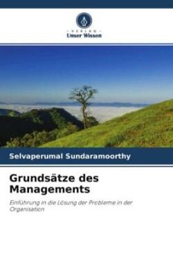 Grundsätze des Managements