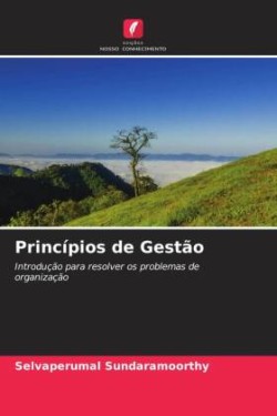 Princípios de Gestão