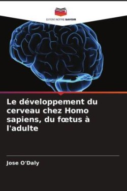 Le développement du cerveau chez Homo sapiens, du foetus à l'adulte