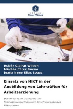 Einsatz von NIKT in der Ausbildung von Lehrkräften für Arbeitserziehung