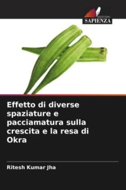 Effetto di diverse spaziature e pacciamatura sulla crescita e la resa di Okra