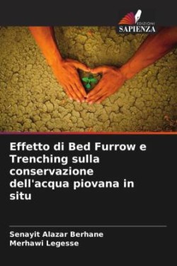 Effetto di Bed Furrow e Trenching sulla conservazione dell'acqua piovana in situ