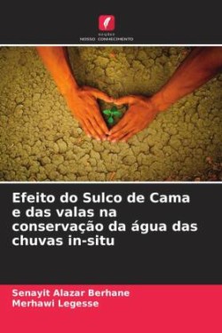 Efeito do Sulco de Cama e das valas na conservação da água das chuvas in-situ