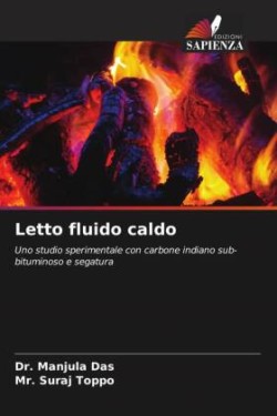 Letto fluido caldo