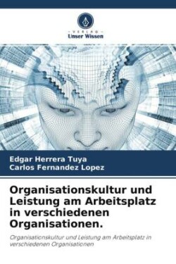 Organisationskultur und Leistung am Arbeitsplatz in verschiedenen Organisationen.