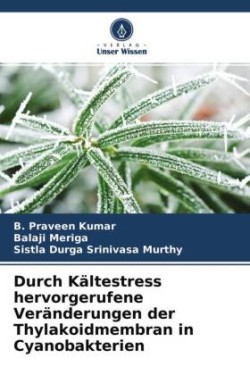 Durch Kältestress hervorgerufene Veränderungen der Thylakoidmembran in Cyanobakterien