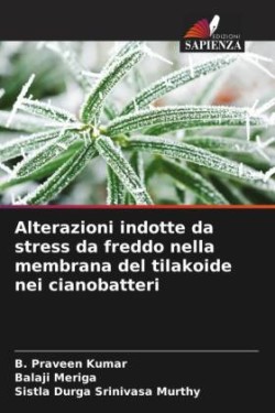 Alterazioni indotte da stress da freddo nella membrana del tilakoide nei cianobatteri